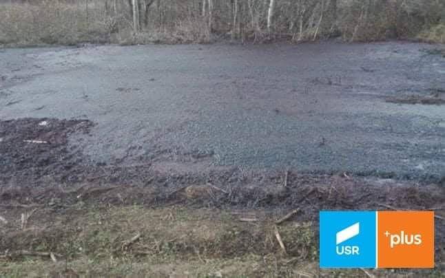 „Depozitul ecologic” al Avicola, de la Dănești, stârnește mari nemulțumiri