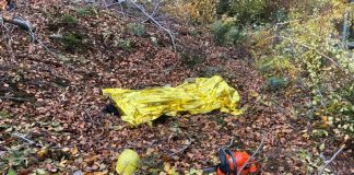 Tragedie! Un bărbat a murit strivit de un lemn la locul de muncă