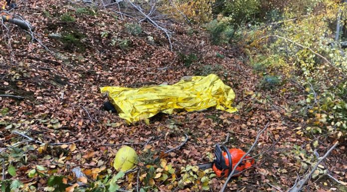 Tragedie! Un bărbat a murit strivit de un lemn la locul de muncă