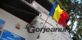 Post vacant de consilier pe achiziții publice, la Primăria Baia de Fier