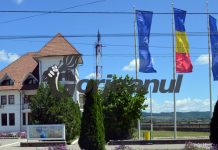 Primăria Turceni caută consilier la Compartimentul de Achiziții Publice