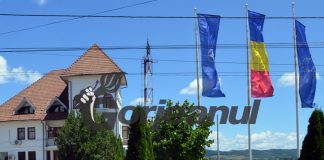 Primăria Turceni caută consilier la Compartimentul de Achiziții Publice