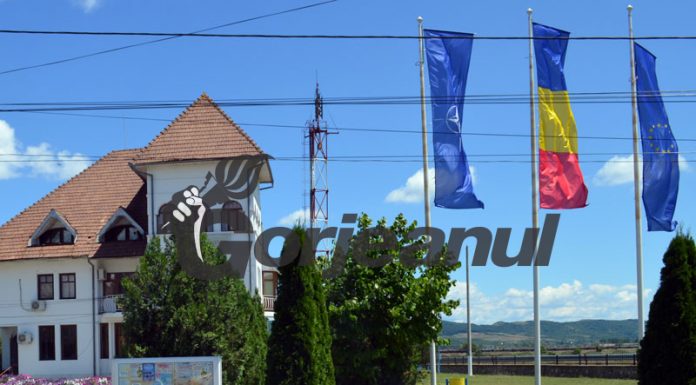 Serviciul Public Turceni angajează electrician