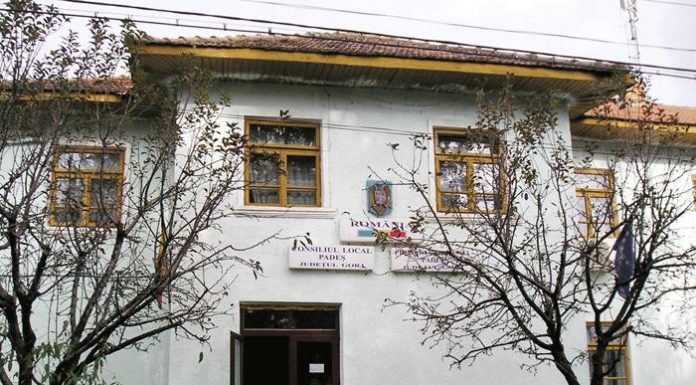 Licitație pentru serviciul de salubrizare din Padeș. Contract pe 2 ani!