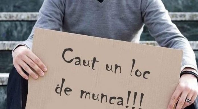 Se pregătesc subvenții de până la maxim 6.000 de lei pentru firmele din sectorul agro-alimentar ce angajează tineri șomeri!