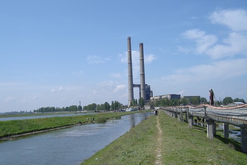 CEO nu găsește angajați pentru Chișcani