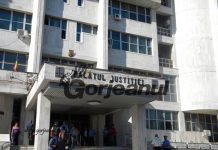 Pădurarii din „Lotul Tismana – Mafia Pădurilor” – în arest la domiciliu!