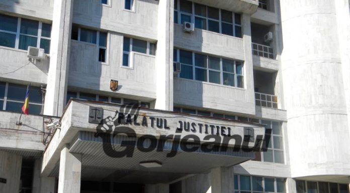 Pădurarii din „Lotul Tismana – Mafia Pădurilor” – în arest la domiciliu!