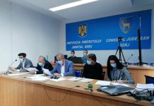 Rujan și Nichifor, aleși vicepreședinți ai CJ Gorj