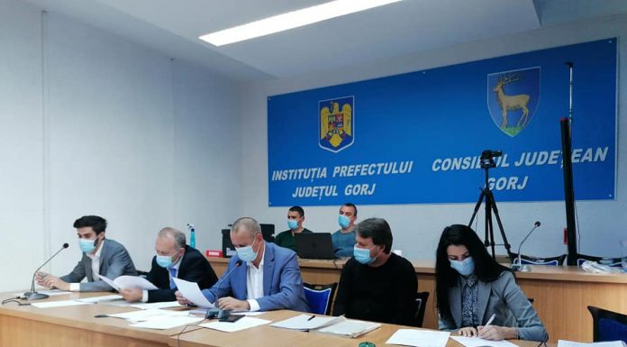 Rujan și Nichifor, aleși vicepreședinți ai CJ Gorj