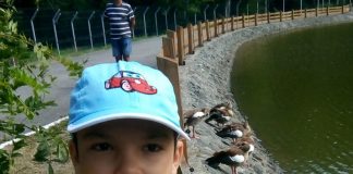 Luca, un băiețel de doar șapte ani din Bumbești Jiu, are epilepsie! Boala sa costă 10.000 de euro