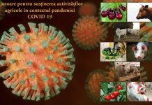 APIA continuă plățile în cadrul măsurilor implementate în contextul pandemiei – Măsura 21