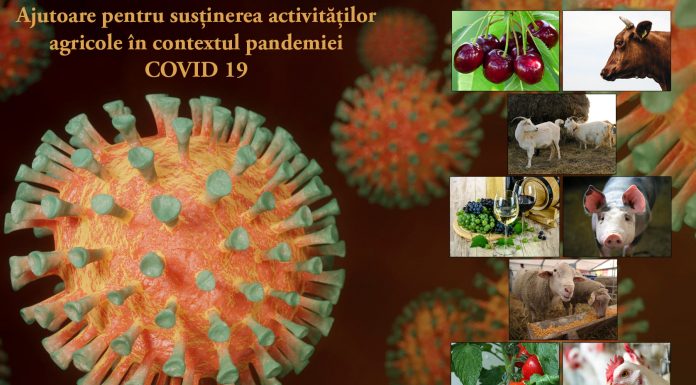 APIA continuă plățile în cadrul măsurilor implementate în contextul pandemiei – Măsura 21