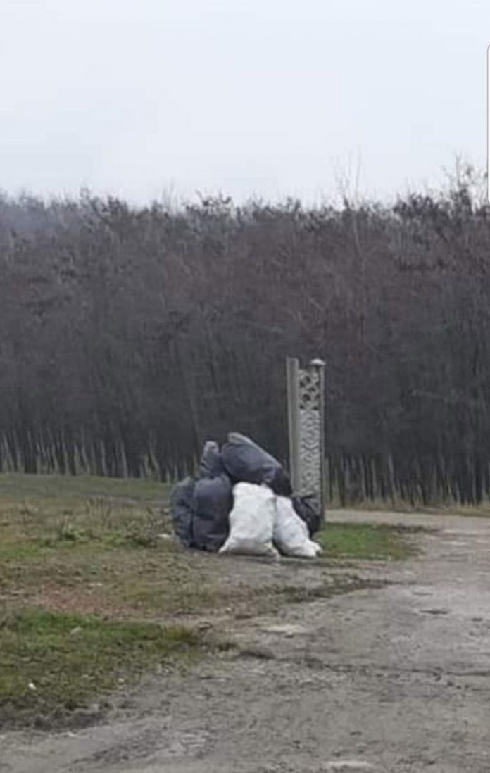 Zeci de saci cu gunoaie, colectați de pe Bujorăscu și din localitățile aparținătoare Motrului