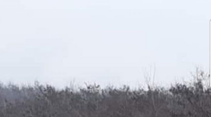 Zeci de saci cu gunoaie, colectați de pe Bujorăscu și din localitățile aparținătoare Motrului