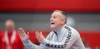 Soarta lui Burcea, decisă în ianuarie