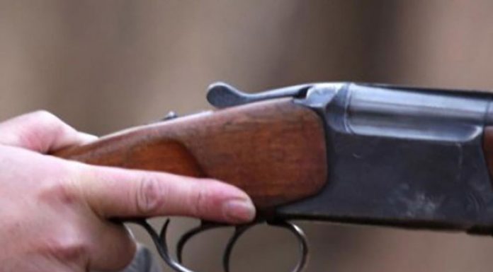 Foc de armă în sat. Supărat că vecinul a insistat să părăsească imobilul, un bărbat din Logrești a folosit arma de vânătoare