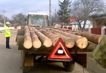 Cercetat pentru mai multe infracțiuni, șoferul băut și fără permis transporta lemne cu un tractor și o remorcă neînmatriculate