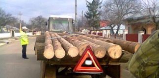 Cercetat pentru mai multe infracțiuni, șoferul băut și fără permis transporta lemne cu un tractor și o remorcă neînmatriculate