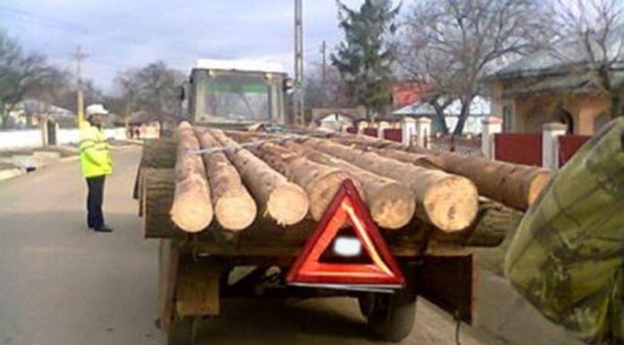 Cercetat pentru mai multe infracțiuni, șoferul băut și fără permis transporta lemne cu un tractor și o remorcă neînmatriculate