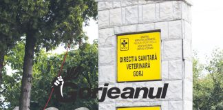 Carmangerie și supermarketuri, amendate de DSVSA Gorj