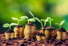 APIA a demarat autorizarea plăților finale pentru anul de cerere 2020