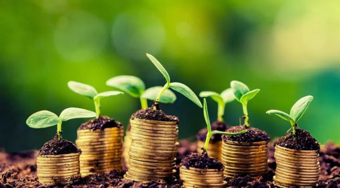 APIA a demarat autorizarea plăților finale pentru anul de cerere 2020