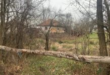 Depopulare masivă în satele din Gorj