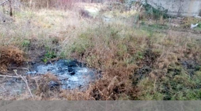 O nouă amendă a Gărzii de Mediu la Turcinești