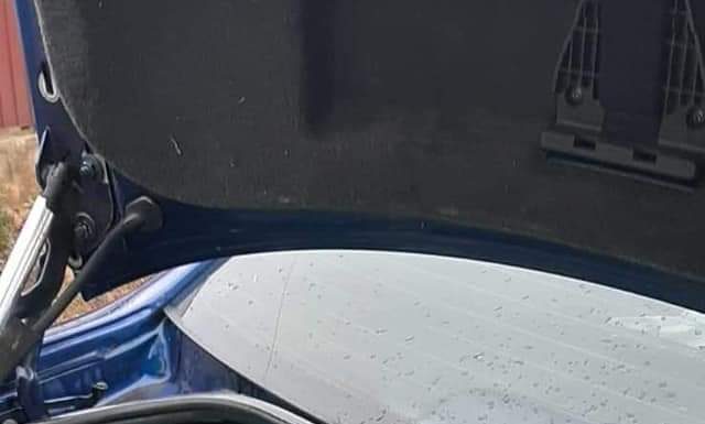 Cadouri de la Primăria Scoarța pentru Casa de tip familia Balotești