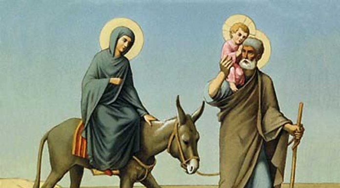 Calea, Lumina, Adevărul şi Viaţa! – Dumnezeu Tatăl, prin Fiul Său şi prin lucrarea Duhului Sfânt, încearcă să ne alunge îndoiala din suflet şi să trăim viaţa în lumină!