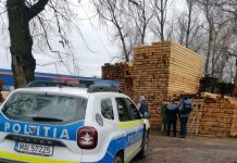 Afaceriști din domeniul lemnului, în vizorul polițiștilor. Amenzi!