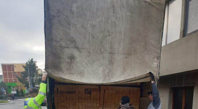 FOTO: Amenzi de peste 30.000 de lei și material lemnos confiscat