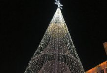 Bradul de 100.000 de euro funcționează după trei ani de stat în depozit!