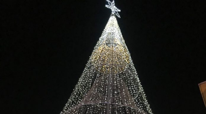 Bradul de 100.000 de euro funcționează după trei ani de stat în depozit!