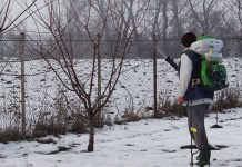 Agricultura pe înțelesul tuturor – Lucrări agricole în repausul vegetativ