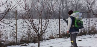 Agricultura pe înțelesul tuturor – Lucrări agricole în repausul vegetativ