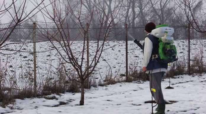 Agricultura pe înțelesul tuturor – Lucrări agricole în repausul vegetativ