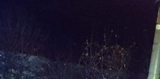 Grav accident la Drăgoieni, o victimă!