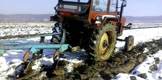 Agricultura pe înțelesul tuturor – Graficul lucrărilor agricole în luna decembrie – Mai întâi efectuați lucrările restante din luna noiembrie și apoi