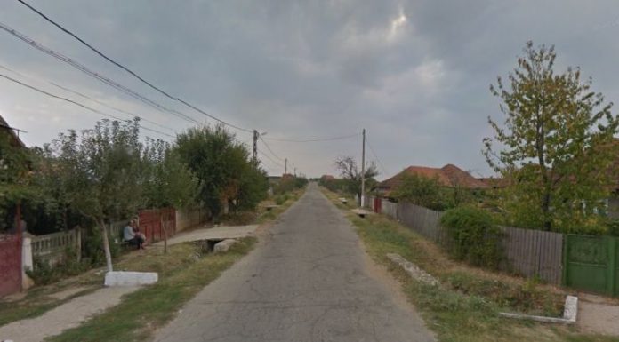 Inginerul Răceanu și Impactul colectivizării în satul Bobu (1949 – 1962)