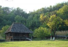 Programul de manifestări dedicate ,,Anului Tudor Vladimirescu” 2021