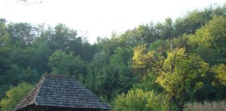 Programul de manifestări dedicate ,,Anului Tudor Vladimirescu” 2021