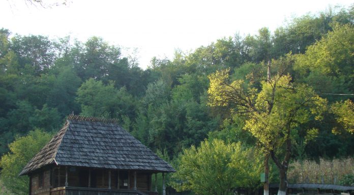 Programul de manifestări dedicate ,,Anului Tudor Vladimirescu” 2021