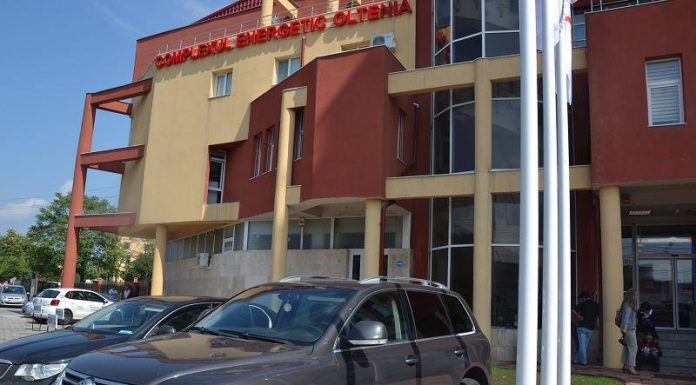 Înstrăinarea activelor CEO, suspendată doi ani