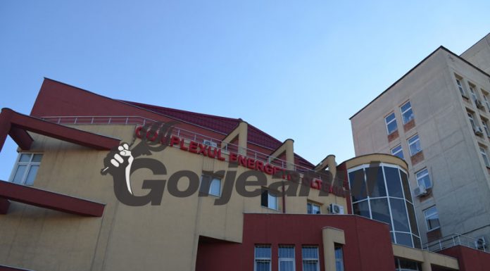 CEO închiriază noi autovehicule pentru transport persoane cu şofer