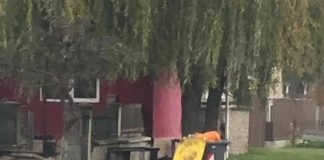 Colectare selectivă în mii de gospodării din Gorj