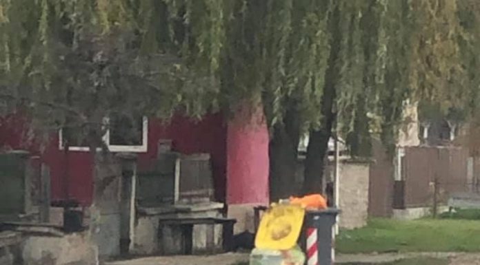 Colectare selectivă în mii de gospodării din Gorj