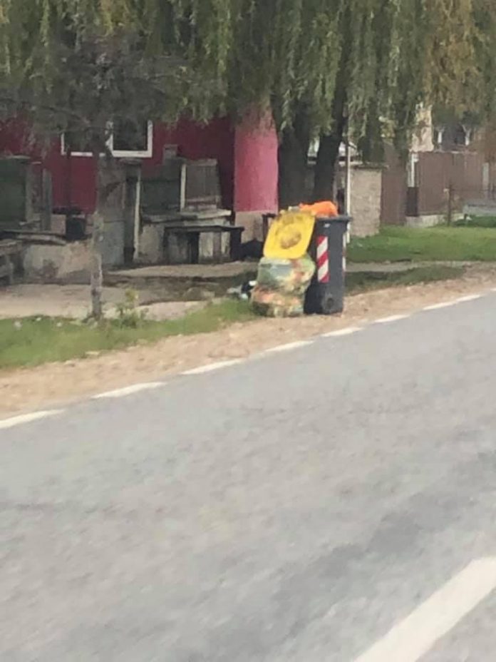 Colectare selectivă în mii de gospodării din Gorj