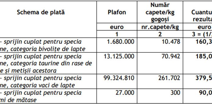 APIA: Au fost aprobate cuantumurile pentru sprijinul cuplat în sectorul zootehnic!